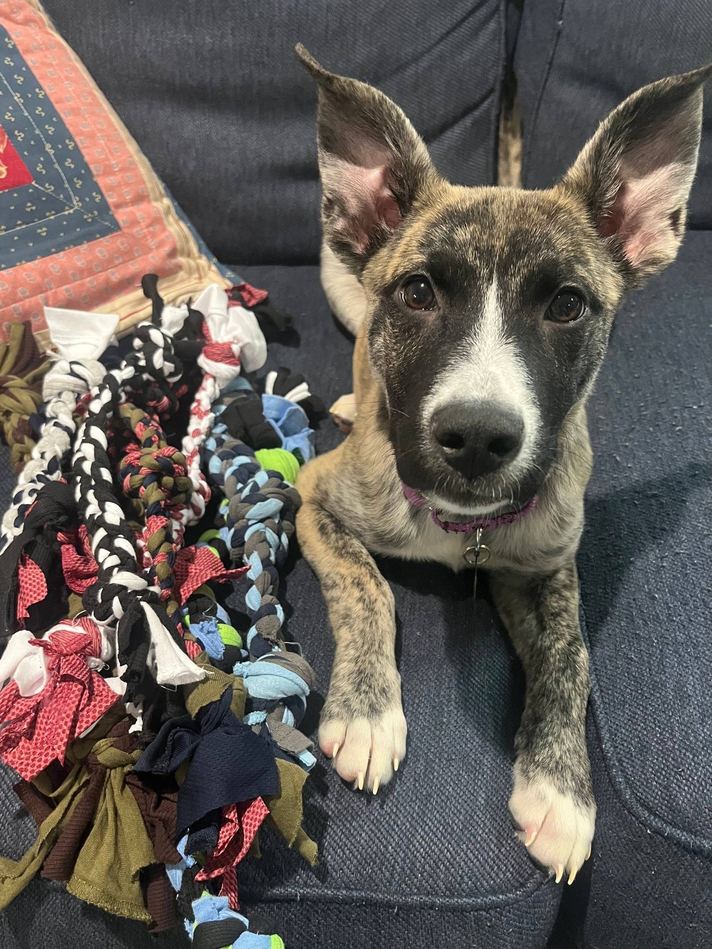 Just Honest - Upcycled Dog Toys: Large Just Honest