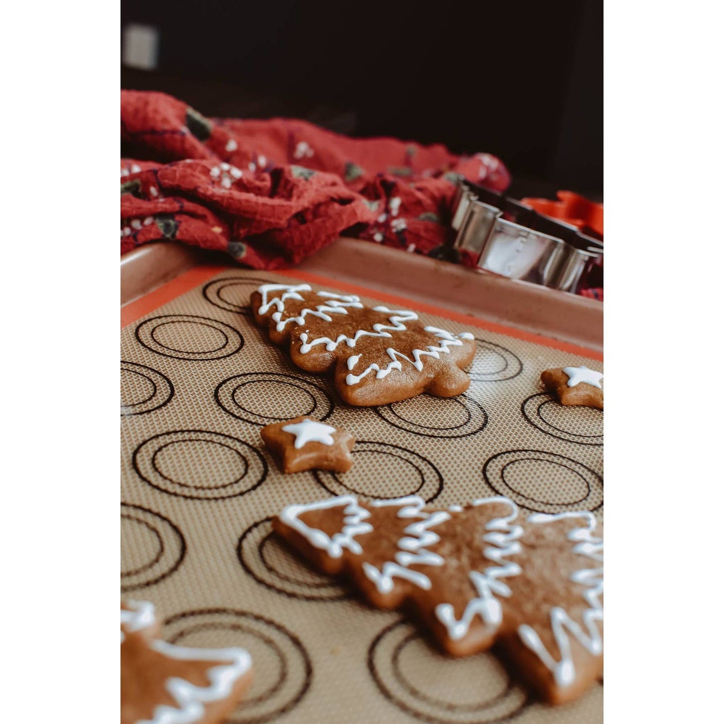 Eco Kitchen Starter Set Evergreen Collective