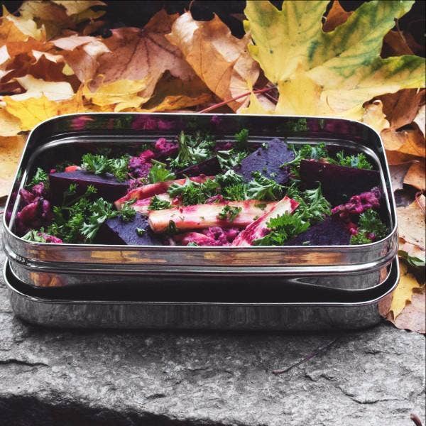 ECOlunchbox Solo Rectangle Lunch Food Container