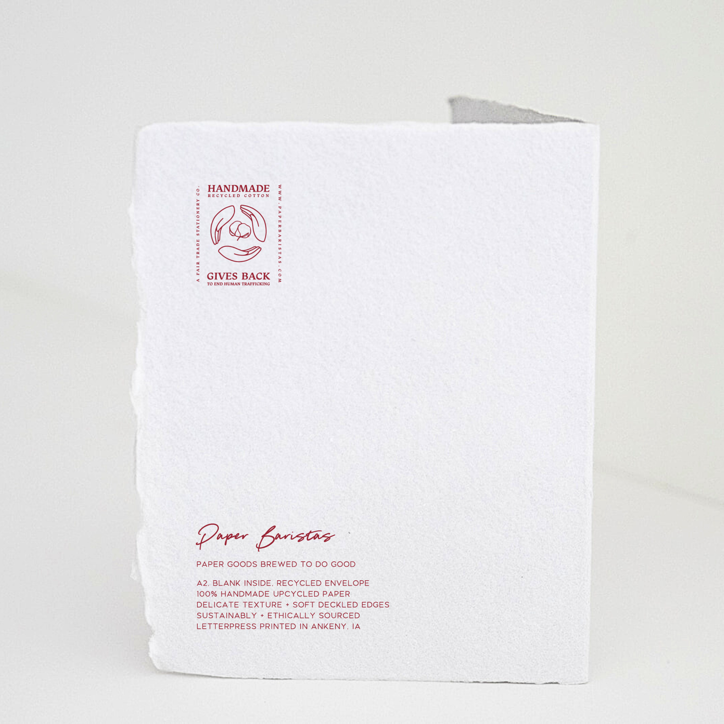 Wishing You A Winter Wonderland | Christmas Card Paper Baristas