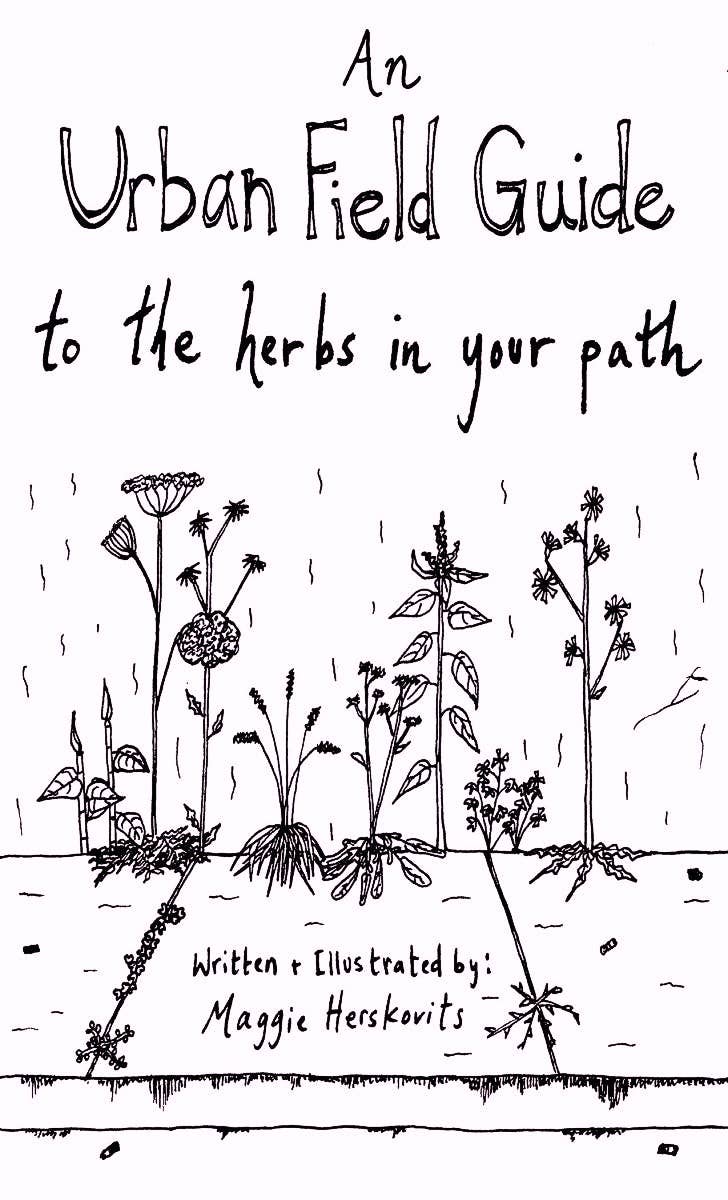 Urban Field Guide to the Herbs in Your Path (Zine) Microcosm Publishing & Distribution