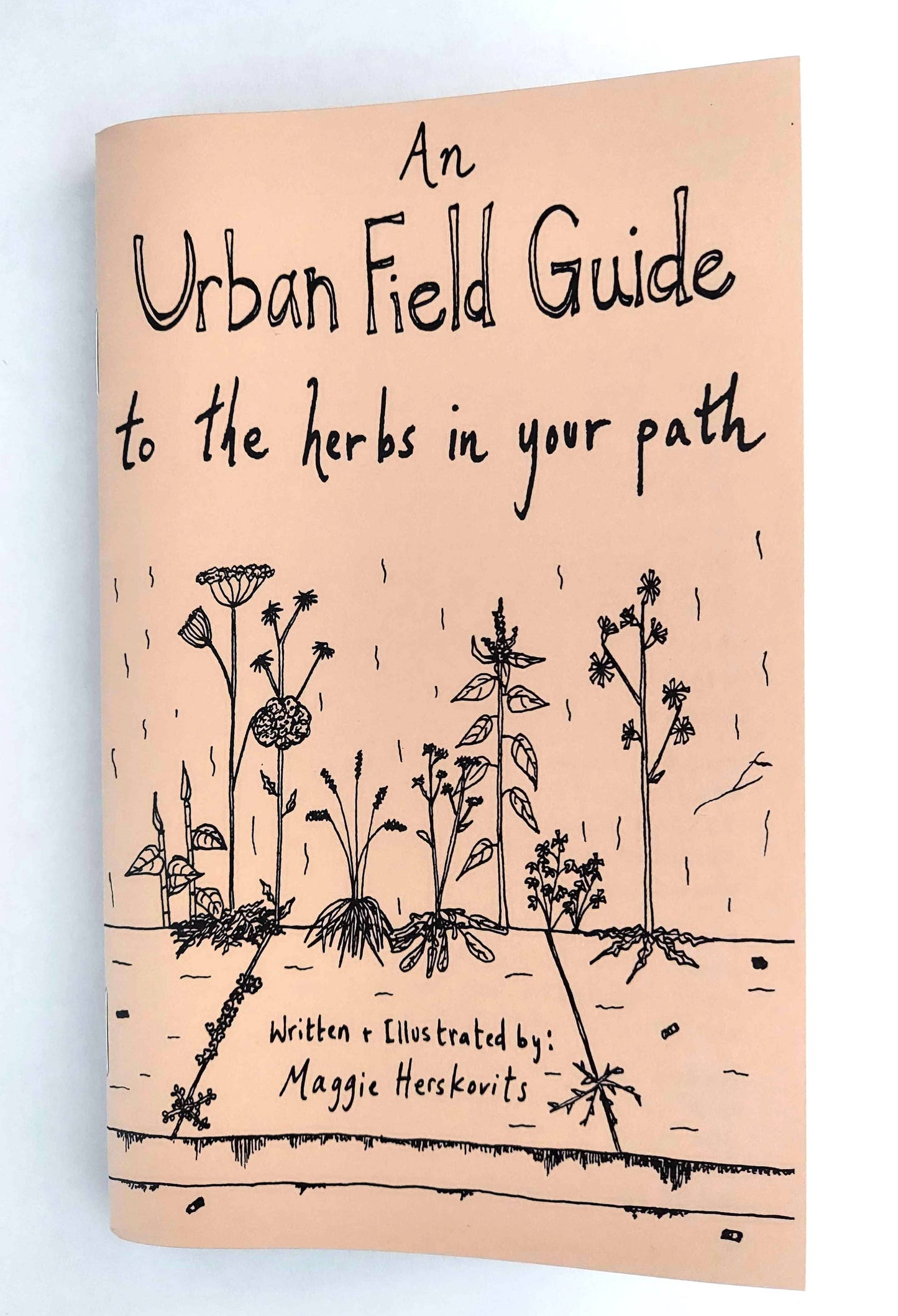 Urban Field Guide to the Herbs in Your Path (Zine) Microcosm Publishing & Distribution