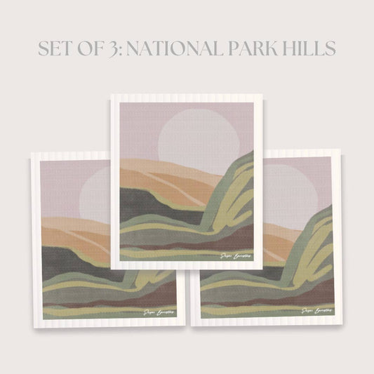 Set of 3 Swedish Dishcloths: National Park Hills Paper Baristas