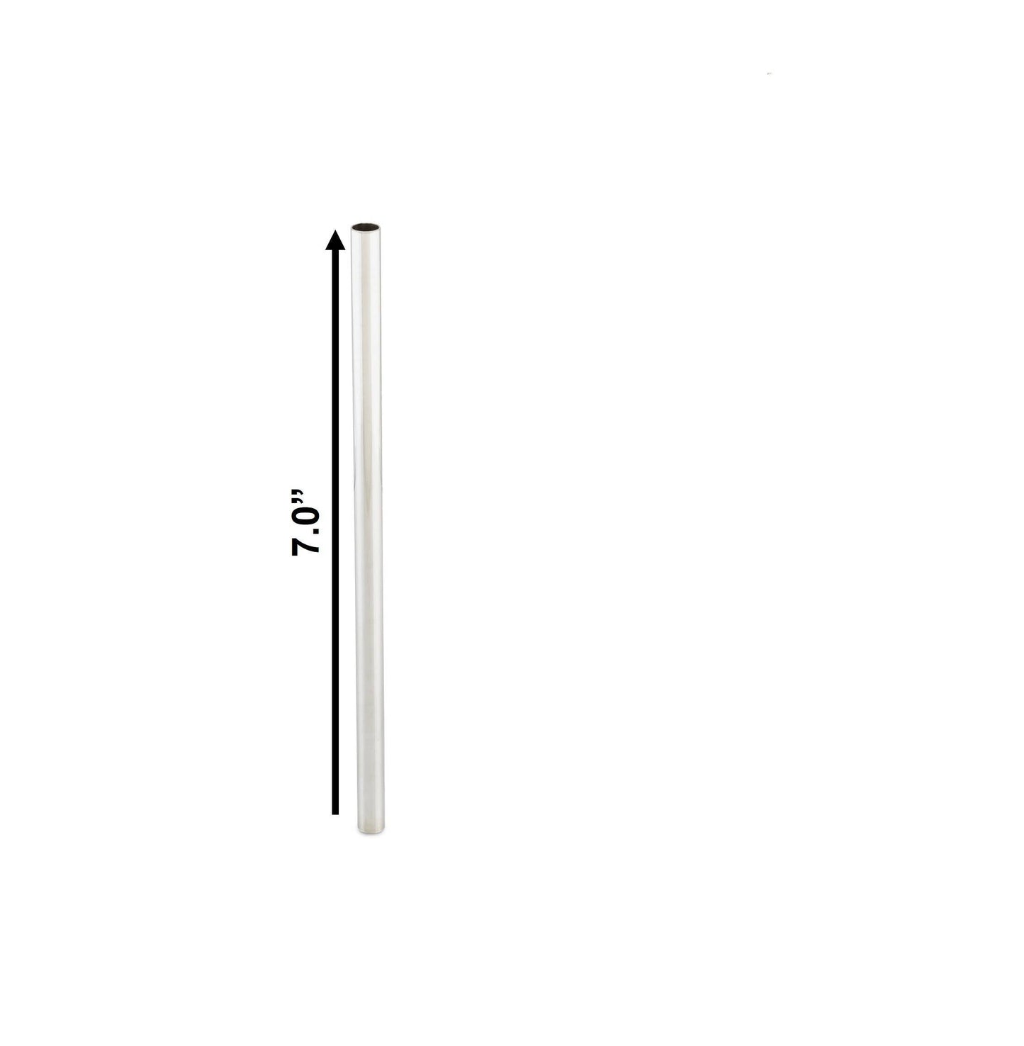 Single Straw Dalcini Stainless