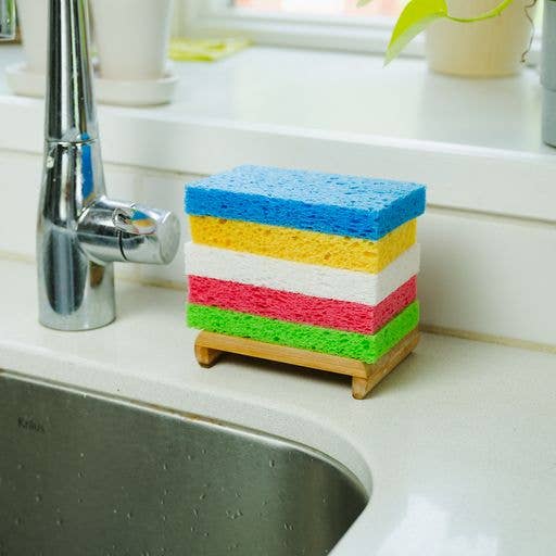 Sponge Evergreen Collective