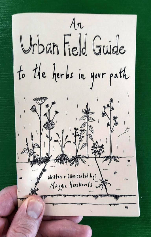 Urban Field Guide to the Herbs in Your Path (Zine) Microcosm Publishing & Distribution