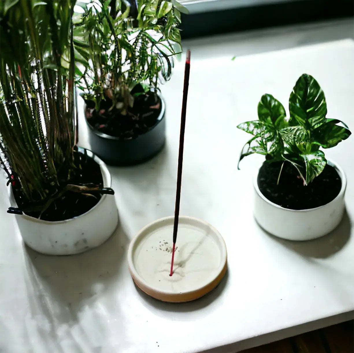 Fire and Moth Co - Colorful Concrete Moon Face Celestial Incense Holder: Matte / Dusty Rose Fire and Moth Co