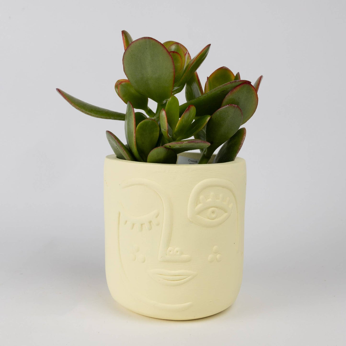 Ten Thousand Villages - Winky Face Cream Terracotta Planter 4" Ten Thousand Villages