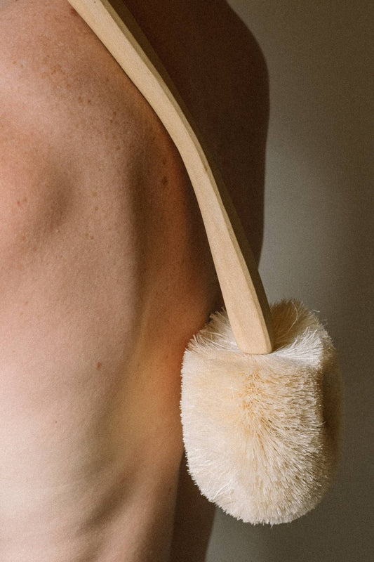 Back Wet or Dry Body Brush w/Handle All Natural