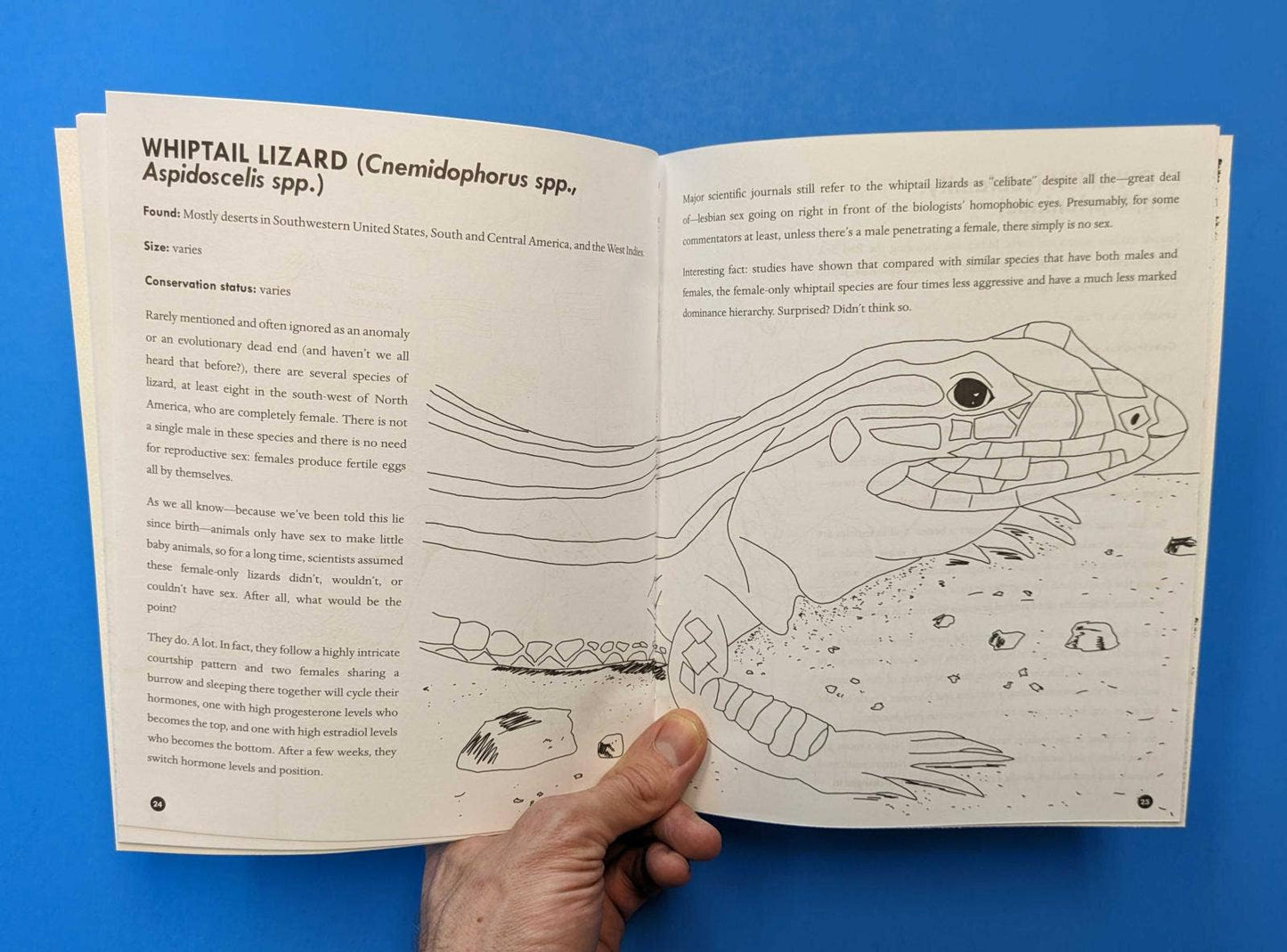 Queer Animals Coloring Book Zine Microcosm Publishing & Distribution