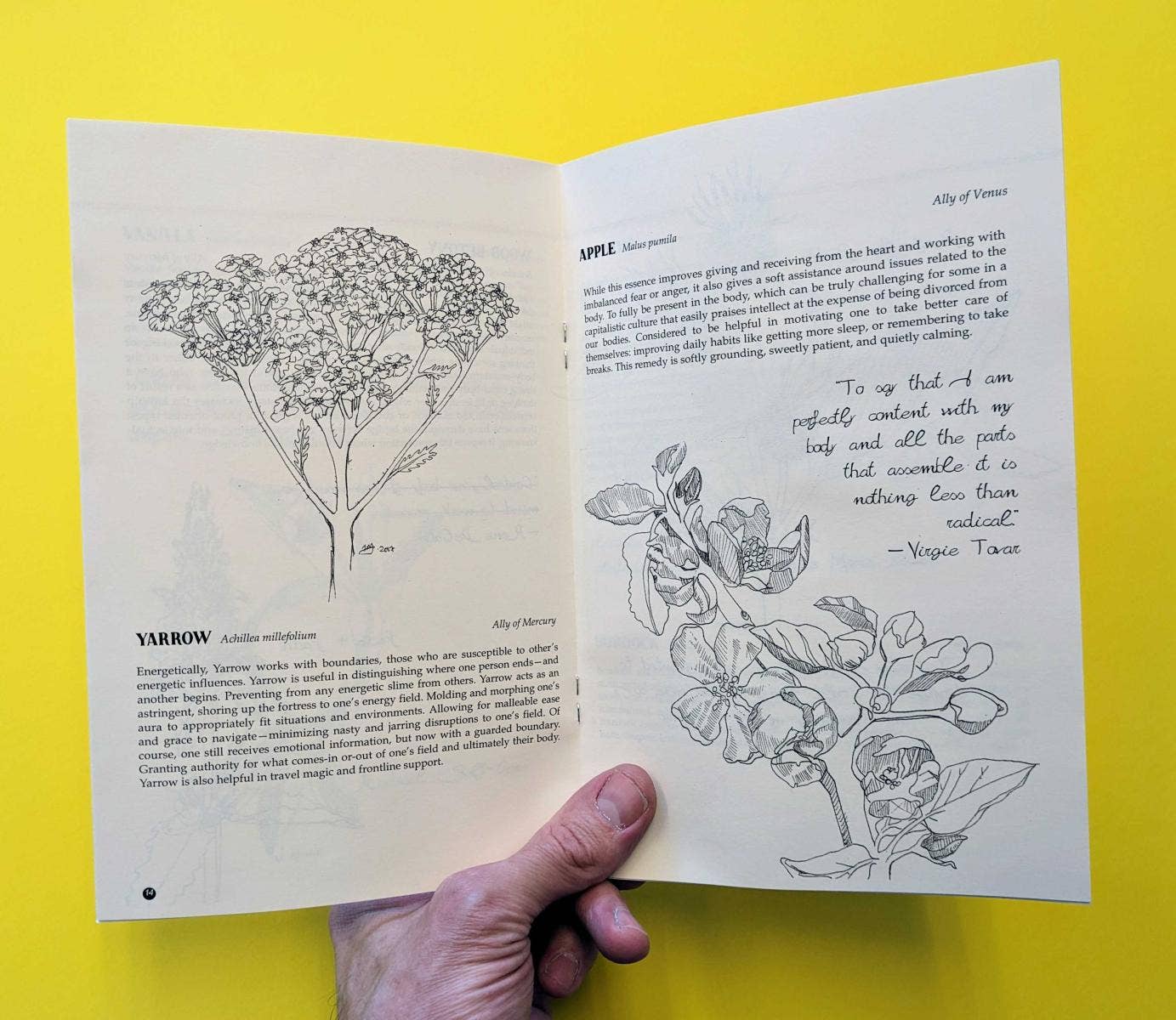 Plants Against the Patriarchy (Zine) Microcosm Publishing & Distribution