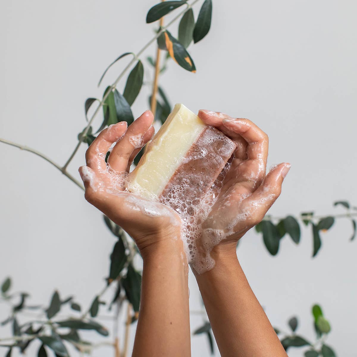 Meow Meow Tweet - Pink Rose Clay Facial Soap Meow Meow Tweet
