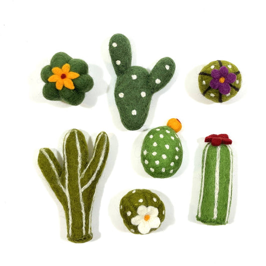 Karma Cat Toy - 60 Asst. Counter Display, Succulents Karma Cat Inc.