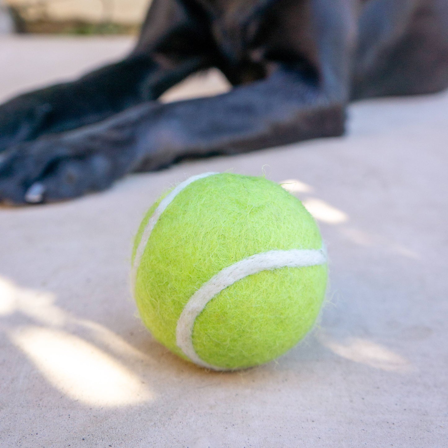 Tennis Eco Wool Dryer Balls - GRAND SLAM Friendsheep