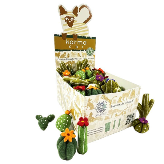 Karma Cat Toy - 60 Asst. Counter Display, Succulents Karma Cat Inc.