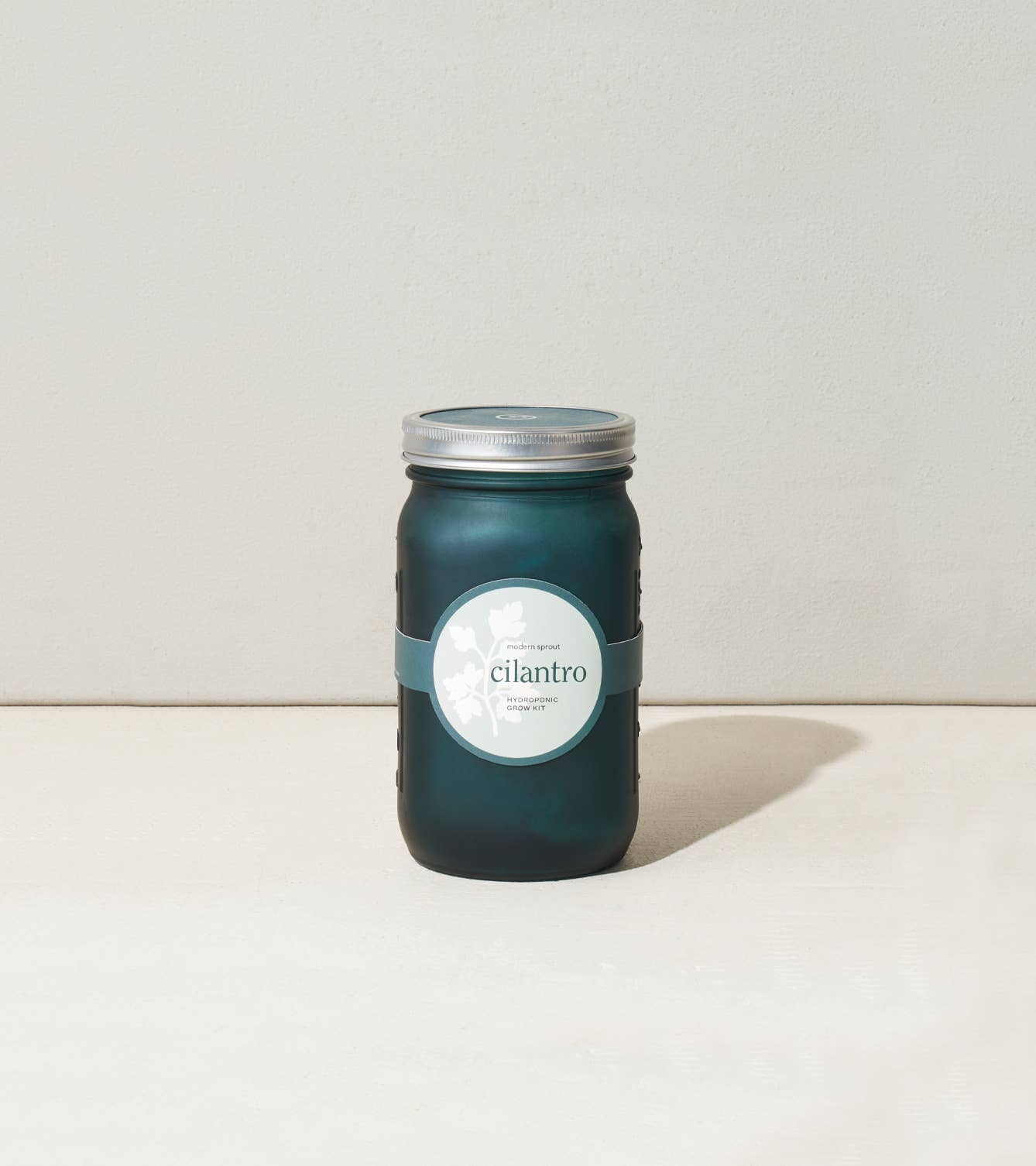 Garden Jar - Cilantro Modern Sprout