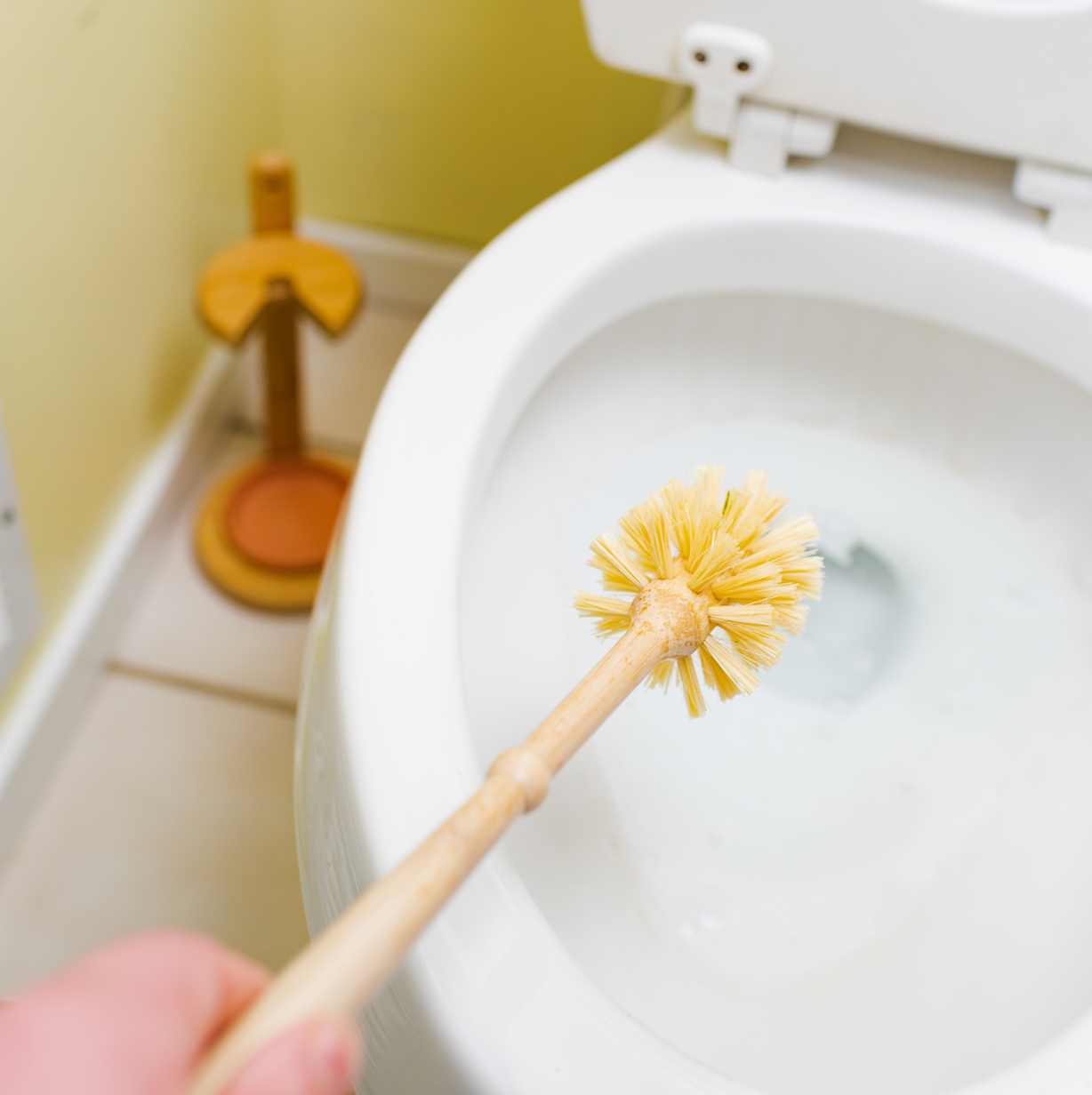 Bamboo Switch - Bamboo Toilet Brush | Sisal Bristles: Brush Only Bamboo Switch