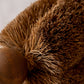 Gardener’s Brush, All Natural, Handmade