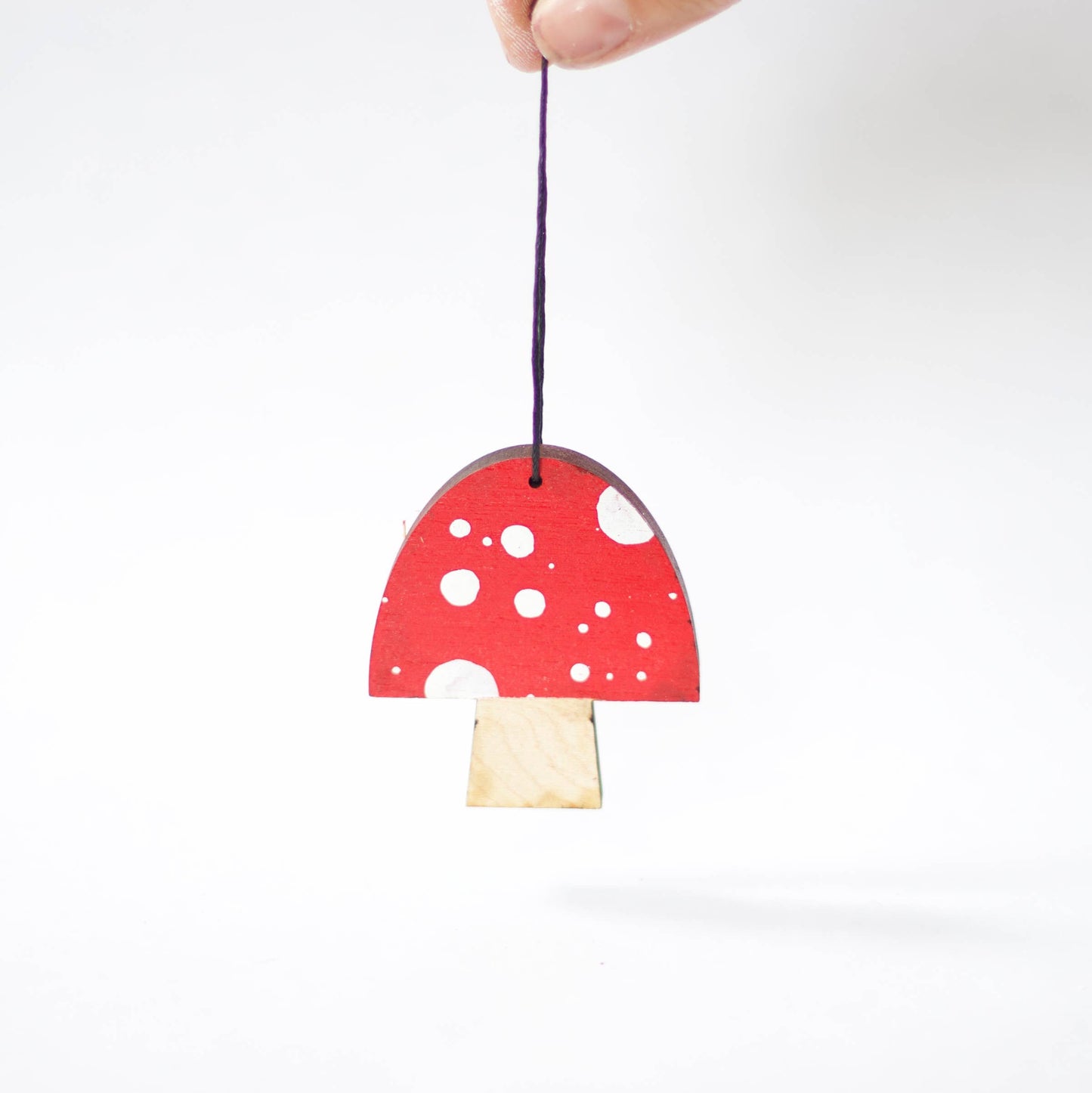 Painted Mushroom ornament (flat) Collin Garrity