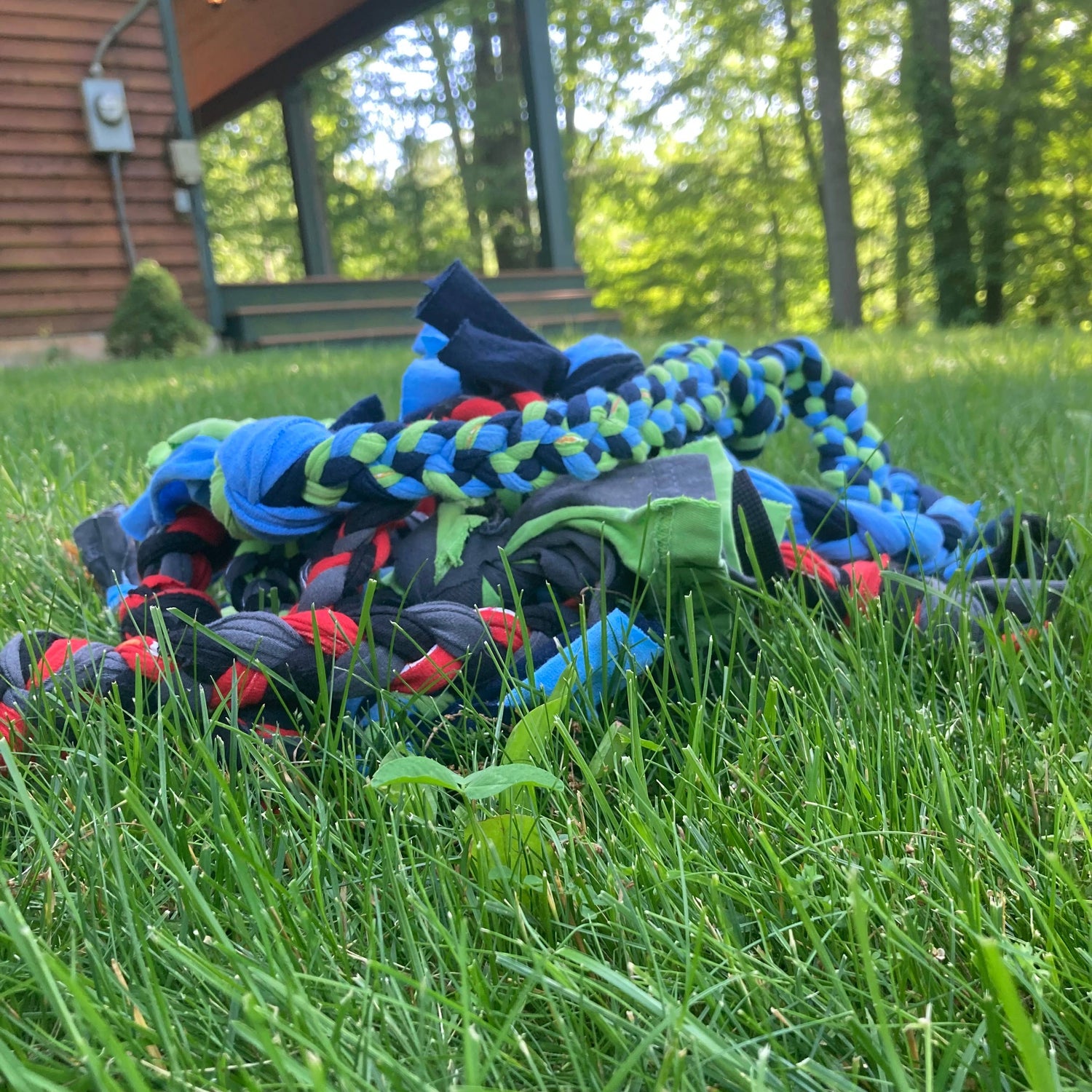 Earth Day Collection