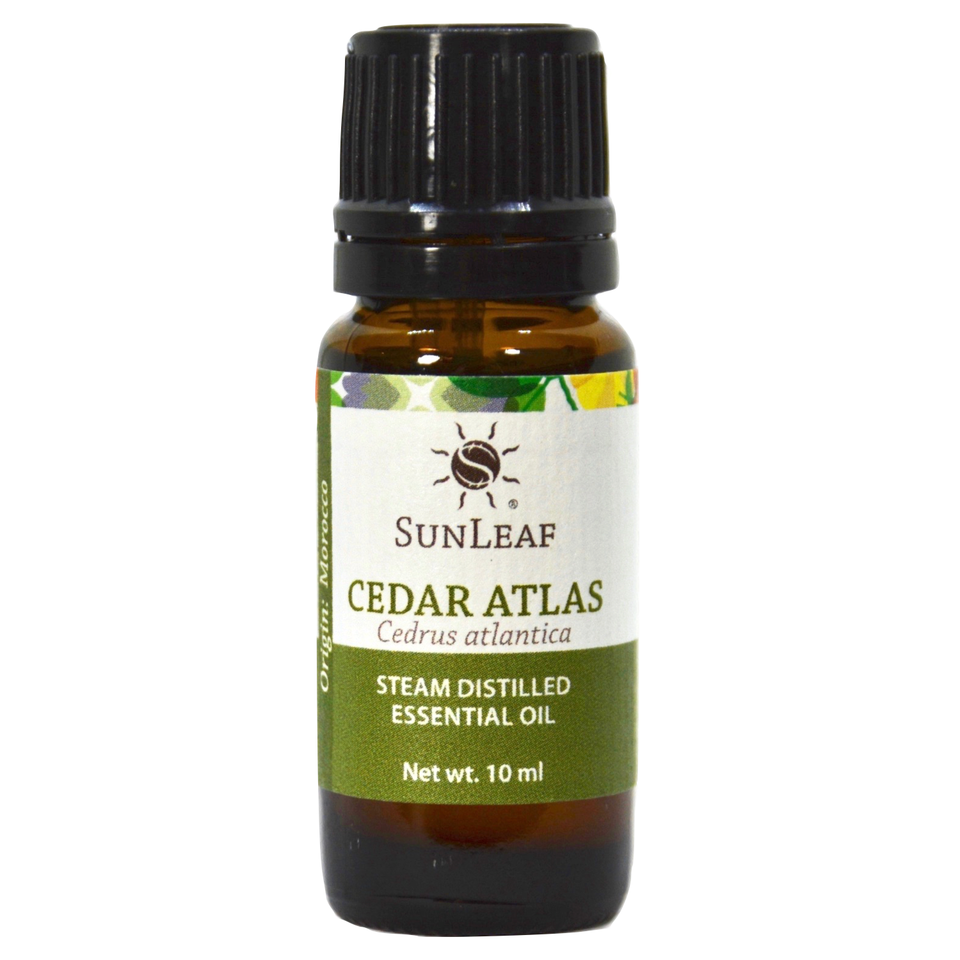 10 ml Cedar Atlas Single Note Essential Oil