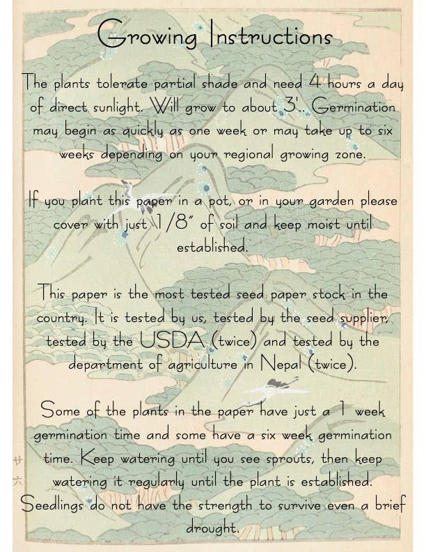 Plantable Seed Card || Zero Waste || Supports Women MVW49 Marissa Kay Apothecary
