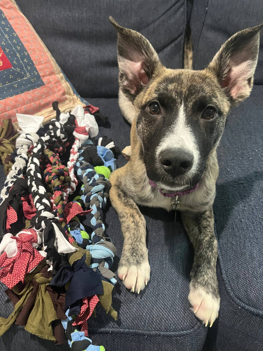 Just Honest - Upcycled Dog Toys: Extra Small Just Honest