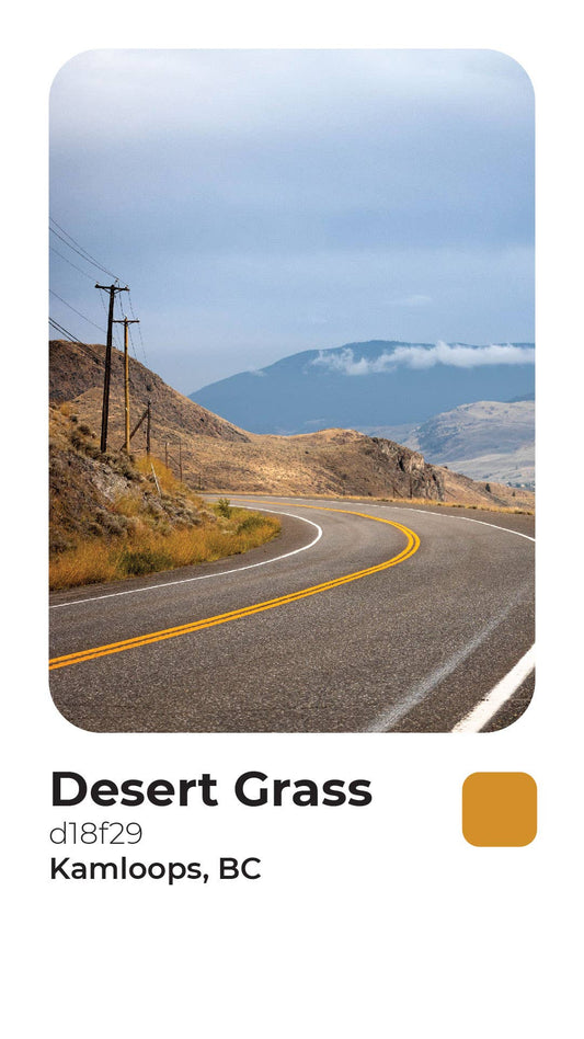 The Rogerie - [PODLY] Air-lock Canisters (30mm dia.): Desert Grass / 80mm The Rogerie