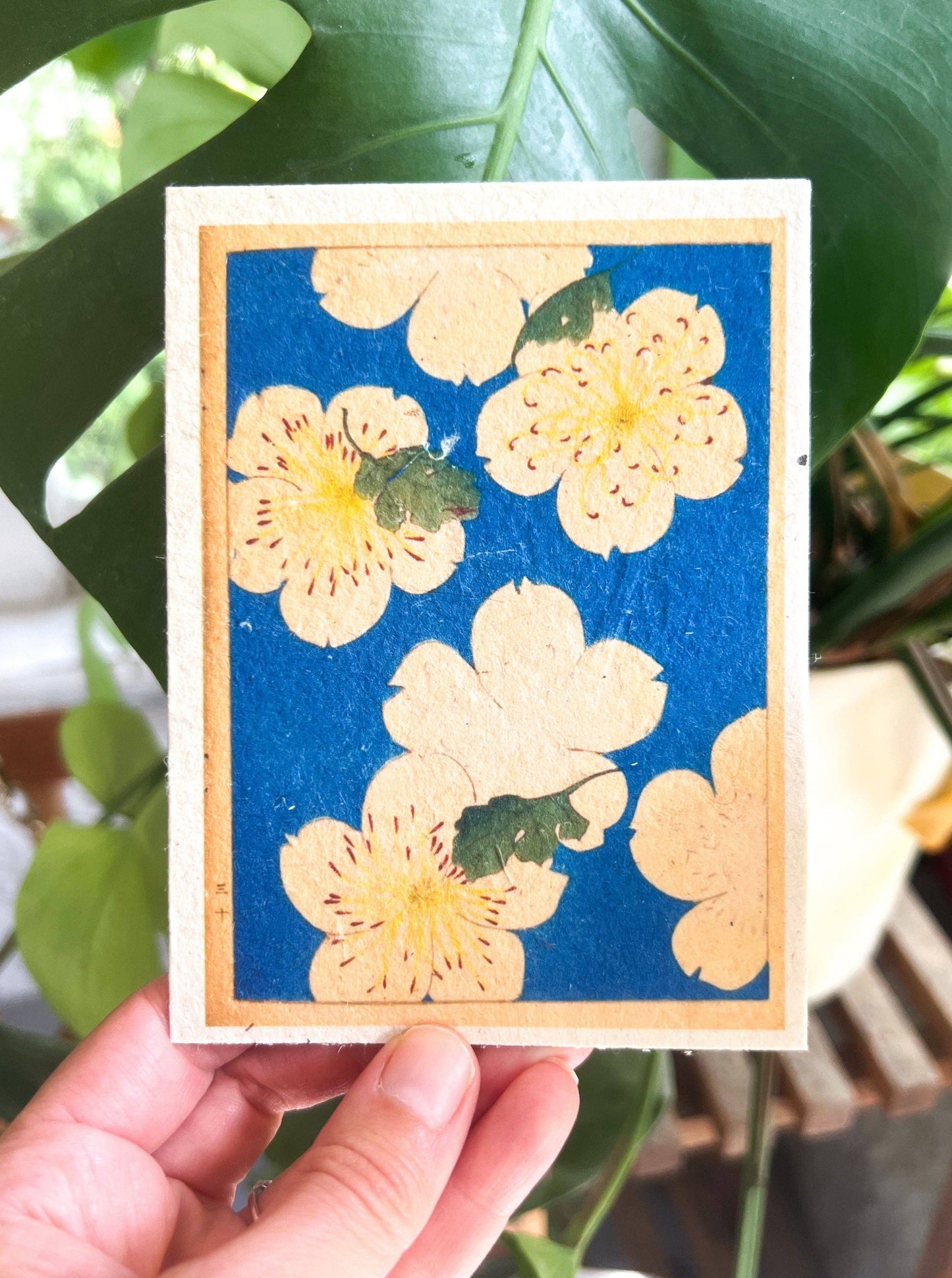 Plantable Seed Card || Zero Waste || Supports Women J11 Marissa Kay Co