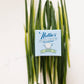 Scented Wool Dryerball: LEMONGRASS
