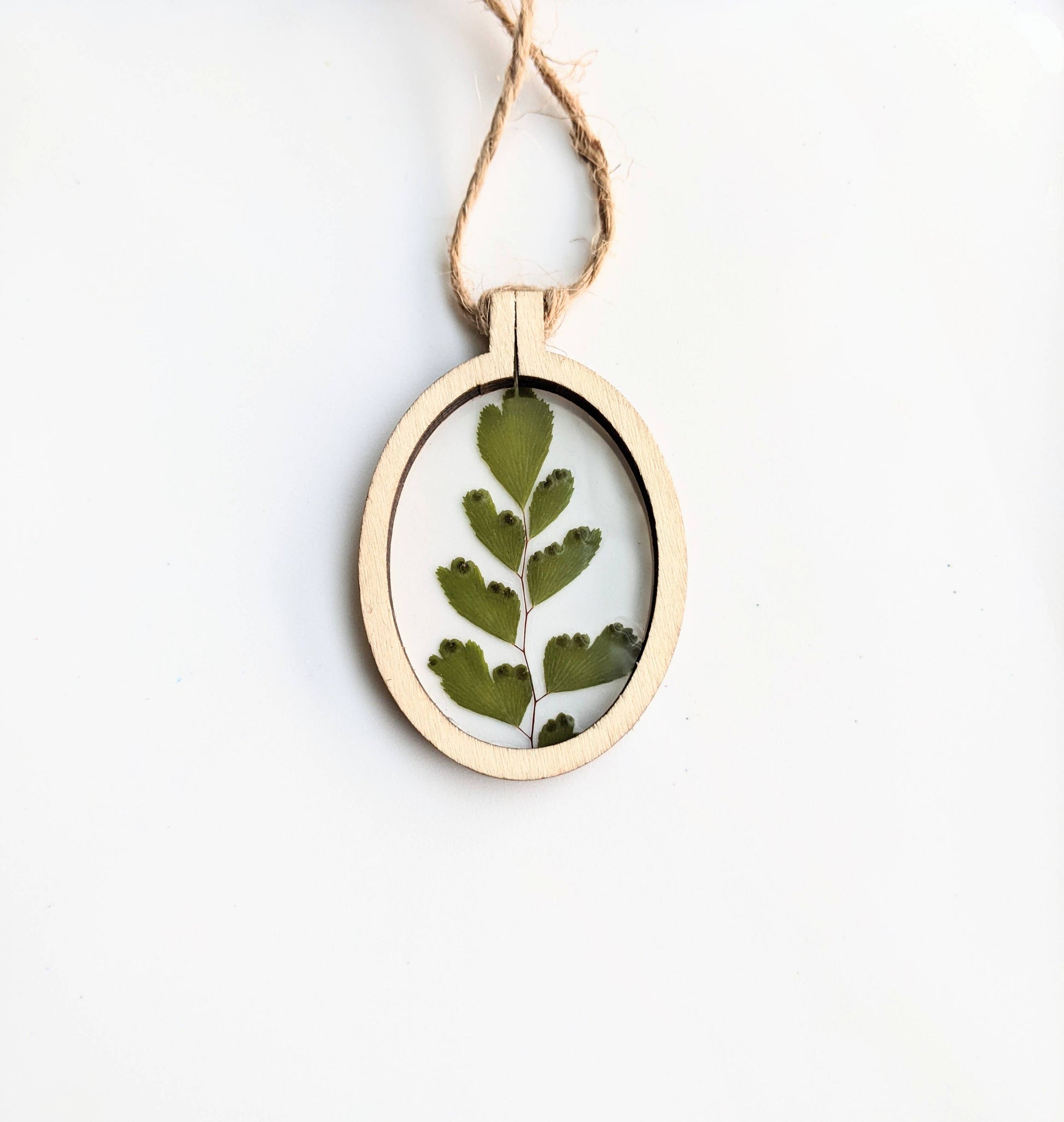 Wood Framed Botanical Ornaments KateeMarie