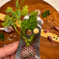 Nan’s Garlic Press & Herb Stripper Zefiro