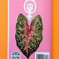 Plants Against the Patriarchy (Zine) Microcosm Publishing & Distribution