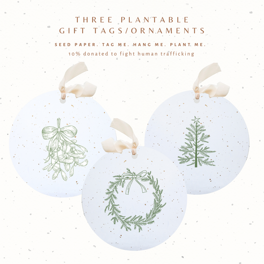 Plantable Seed Gift Tags / Ornaments Set of 3: Greenery Paper Baristas