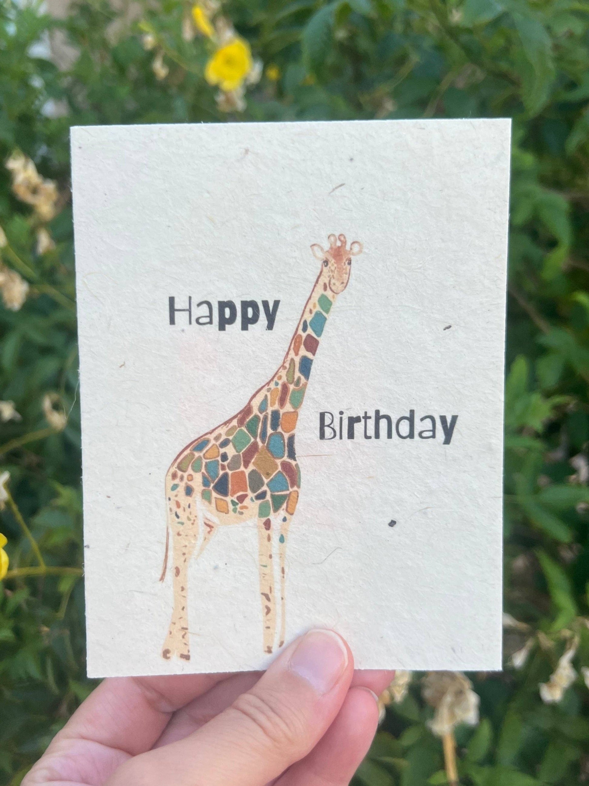 Happy Birthday || Hand-Drawn Seed Paper Greeting by Marissa Kay || MA6 Marissa Kay Co