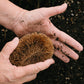 Gardener’s Brush, All Natural, Handmade