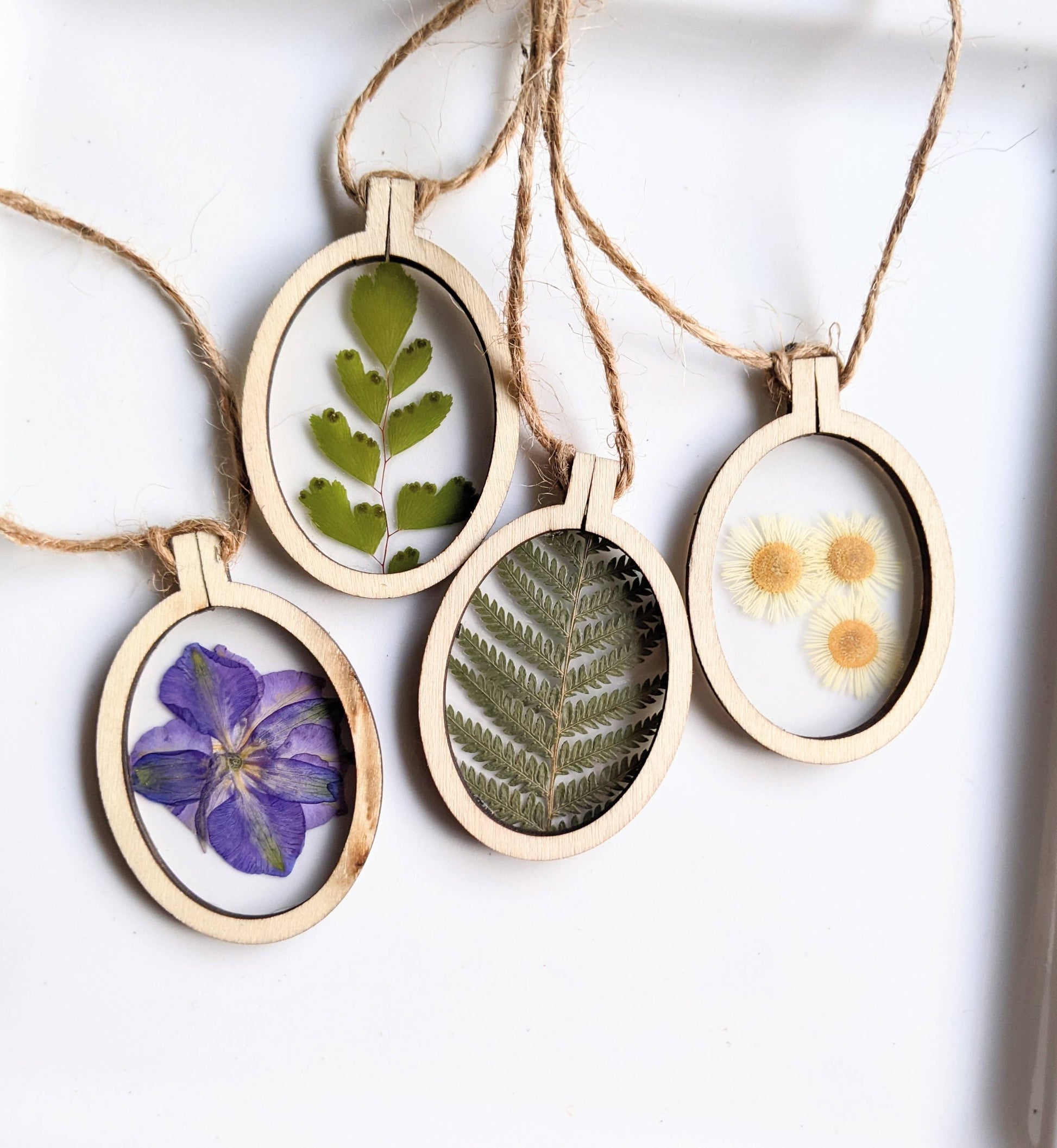 Wood Framed Botanical Ornaments KateeMarie