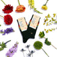 Socks that Save LGBTQ Lives (Classic Rainbow Stripe) Conscious Step