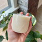 Rayne Refillery - Coconut Soy Wax Candle - REFILL: Vanilla To My Bean Rayne Refillery