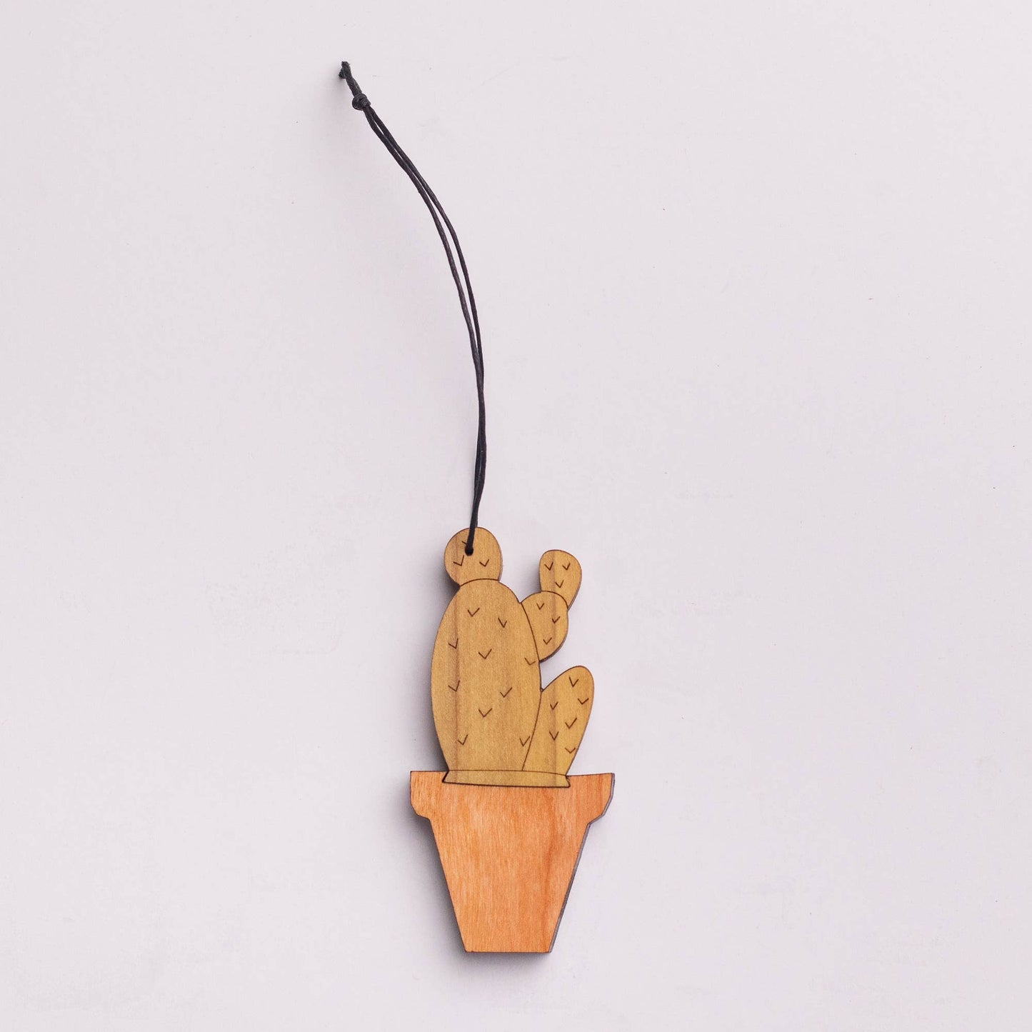 Houseplant Holiday Ornament Collin Garrity