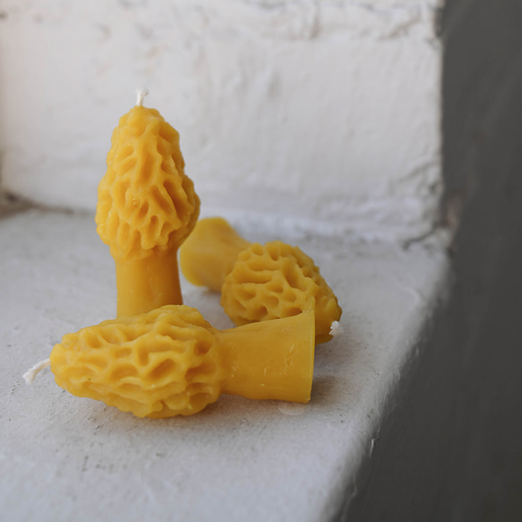 Morel - Pure Beeswax Candle