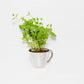 Stainless2-Cup Measuring Cup