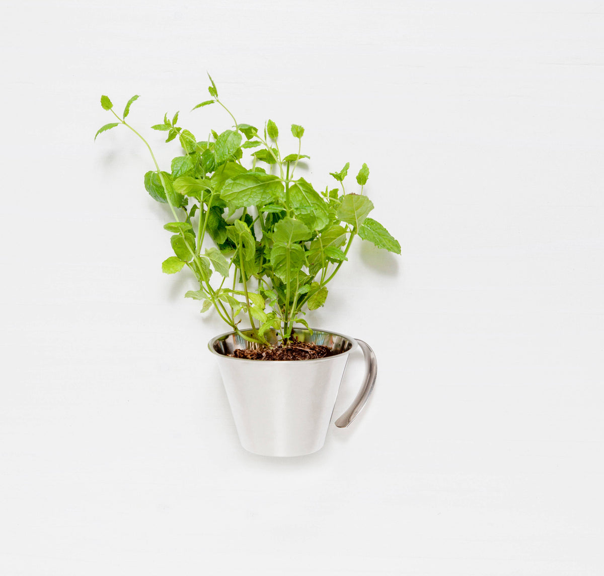 Stainless2-Cup Measuring Cup