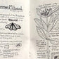 Urban Field Guide to the Plants in Your Path (Zine)