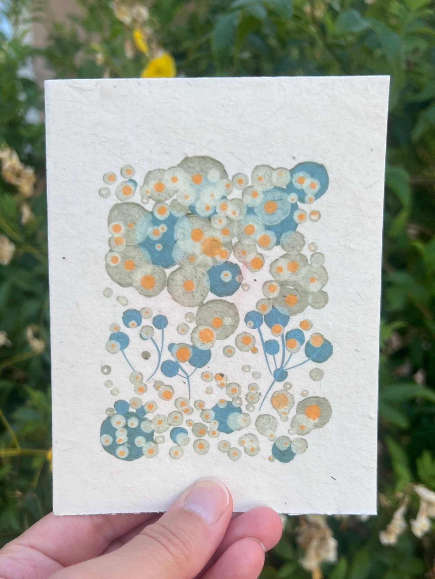 Hand-Drawn Seed Paper Greeting by Marissa Kay || MF15 Marissa Kay Co