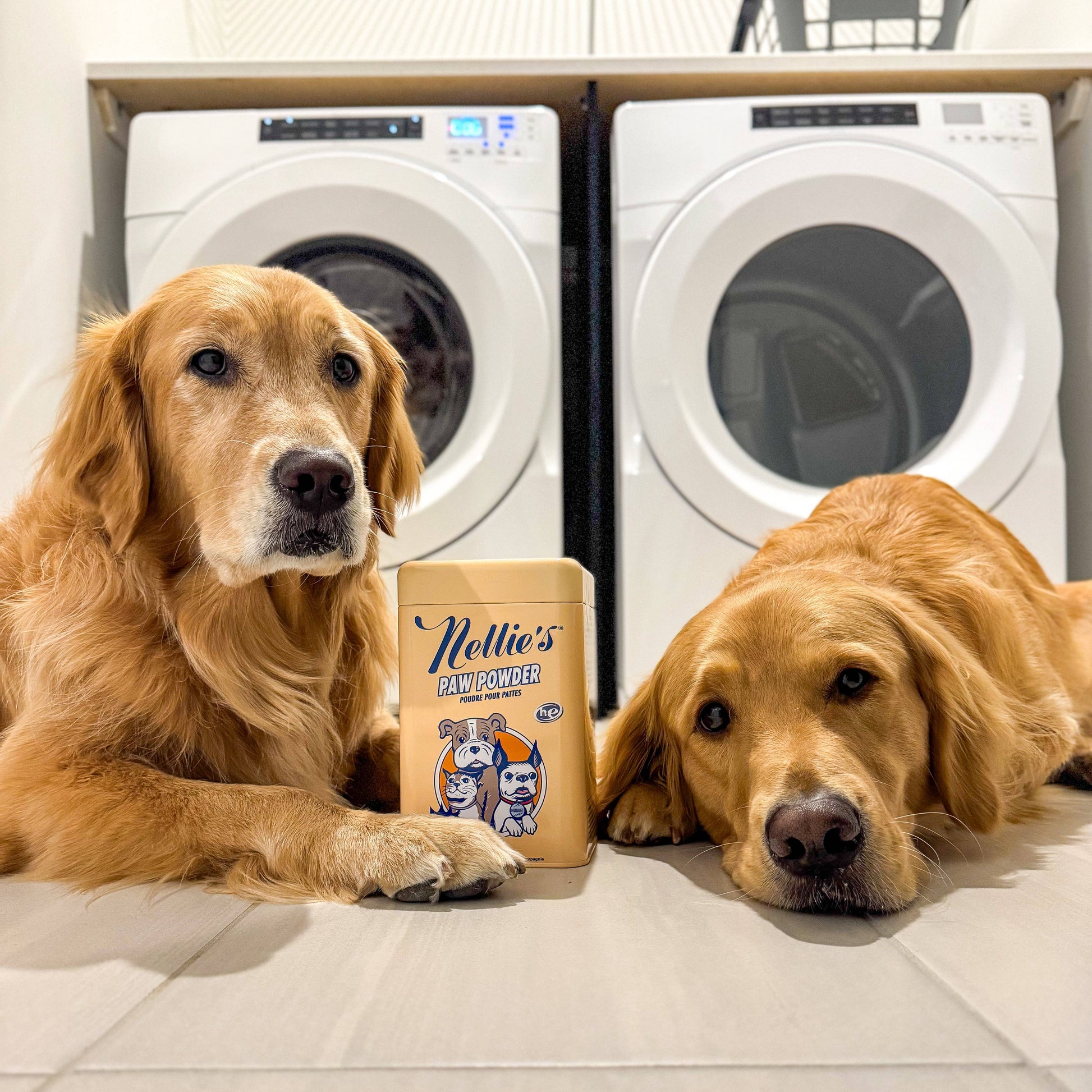 PAW Powder Pet Laundry Detergent Nellie's Clean