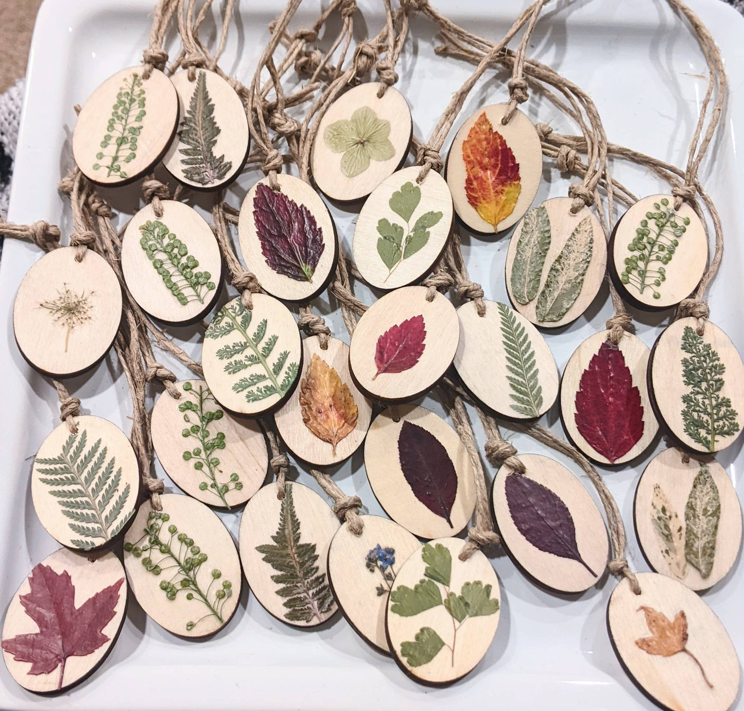 Wood Disk Dried Nature Ornament KateeMarie