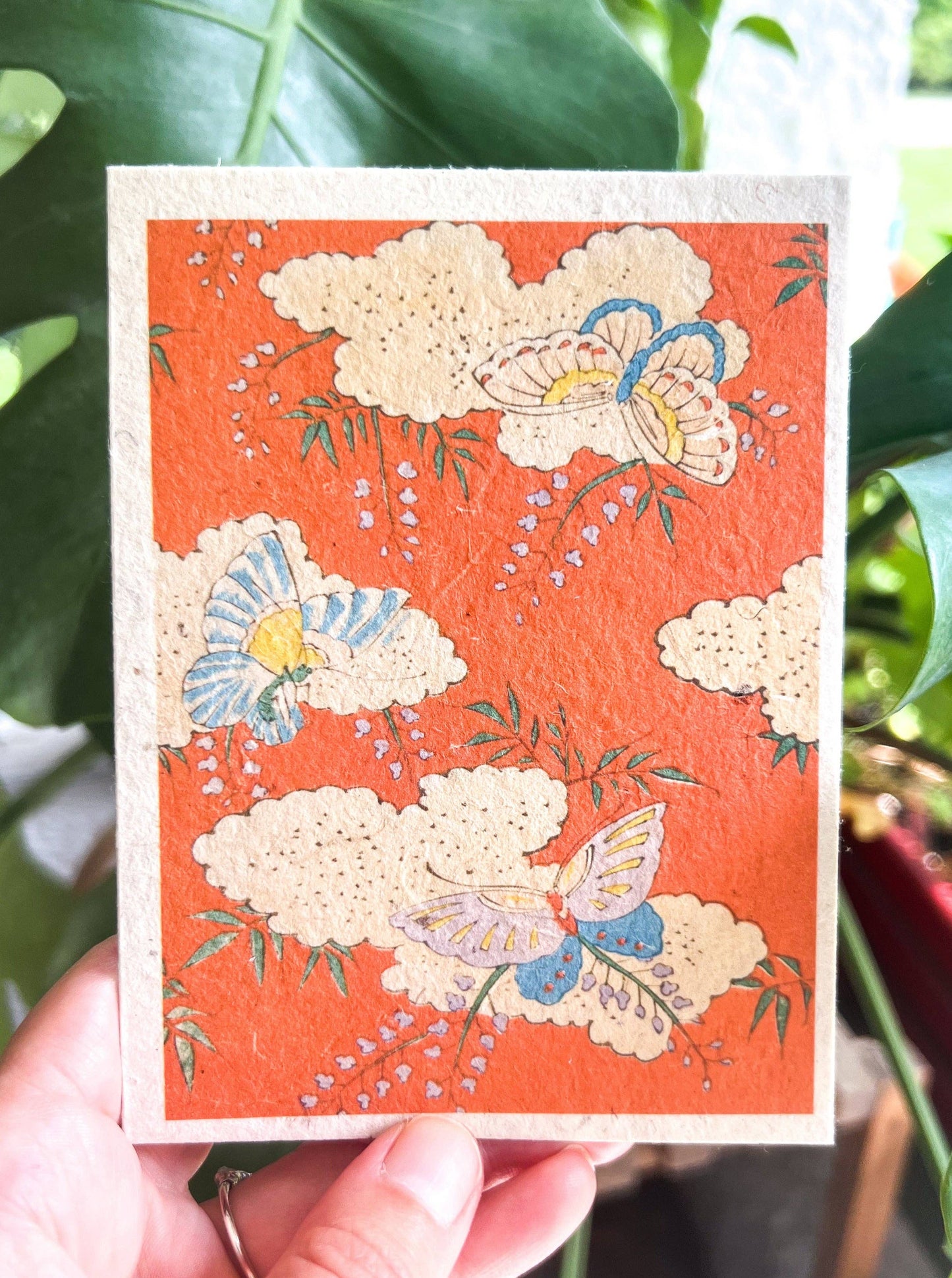 Plantable Seed Card || Zero Waste || Supports Women J28 Marissa Kay Apothecary