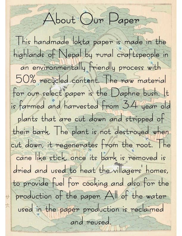 Plantable Seed Card || Zero Waste || Supports Women MVW49 Marissa Kay Apothecary