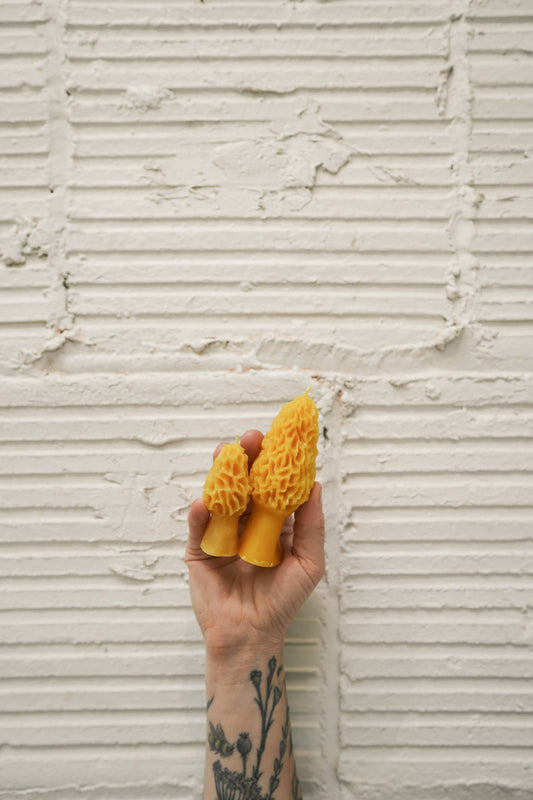 Morel - Pure Beeswax Candle